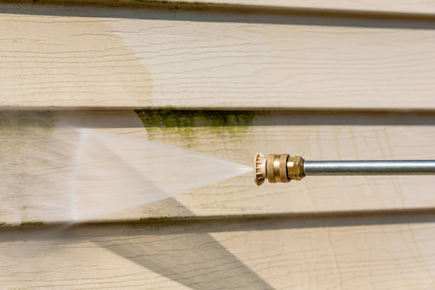 Best House Pressure Washing  in Prairieville, LA
